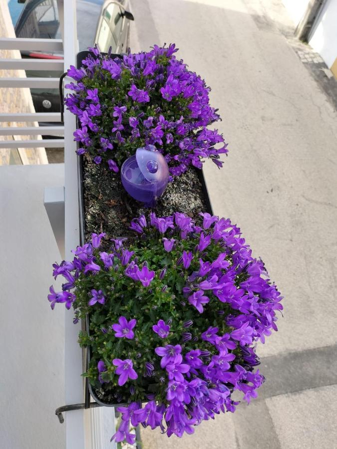 The Violet House Villa Costa Nova Ngoại thất bức ảnh